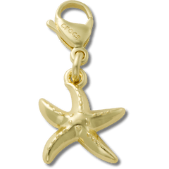 Gold Starfish Charm Jibbitz charm - Crocs near me