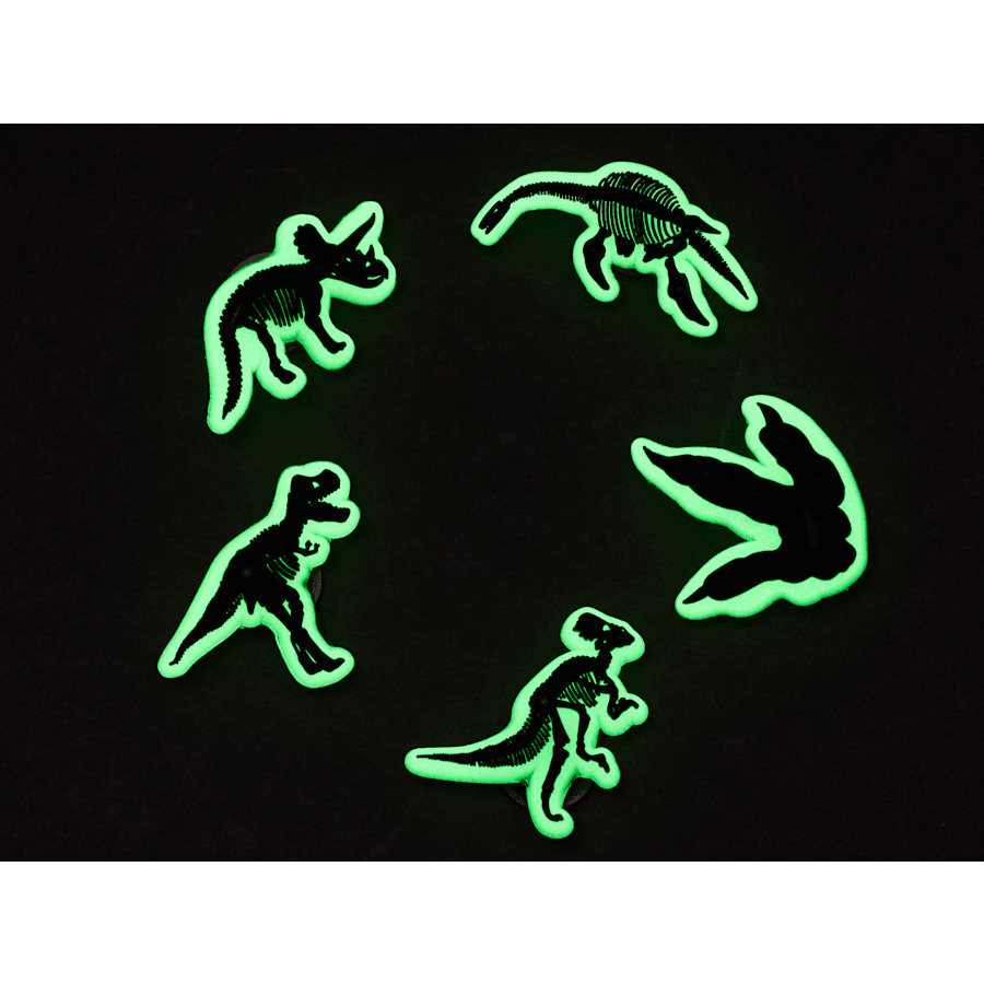 Glow In The Dark Dino 5 Pack Jibbitz Shoe Charm - Crocs sale