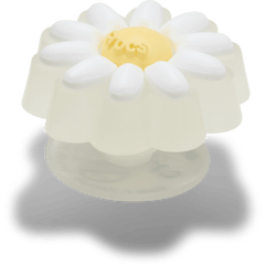 Tiny Darling Daisy Jibbitz™ charms - Crocs US